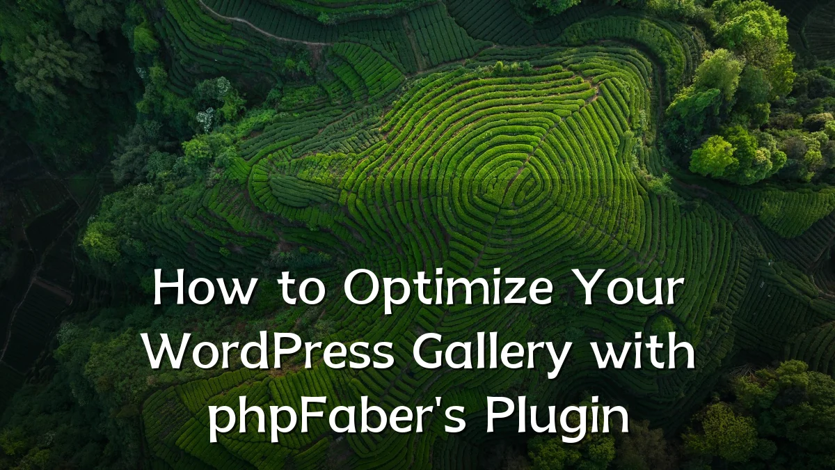 How to Optimize Your WordPress Gallery with phpFaber's Plugin