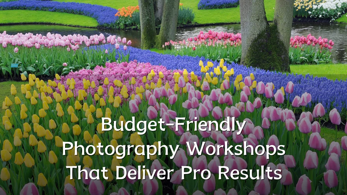 Budget-Friendly Photography Workshops That Deliver Pro Results