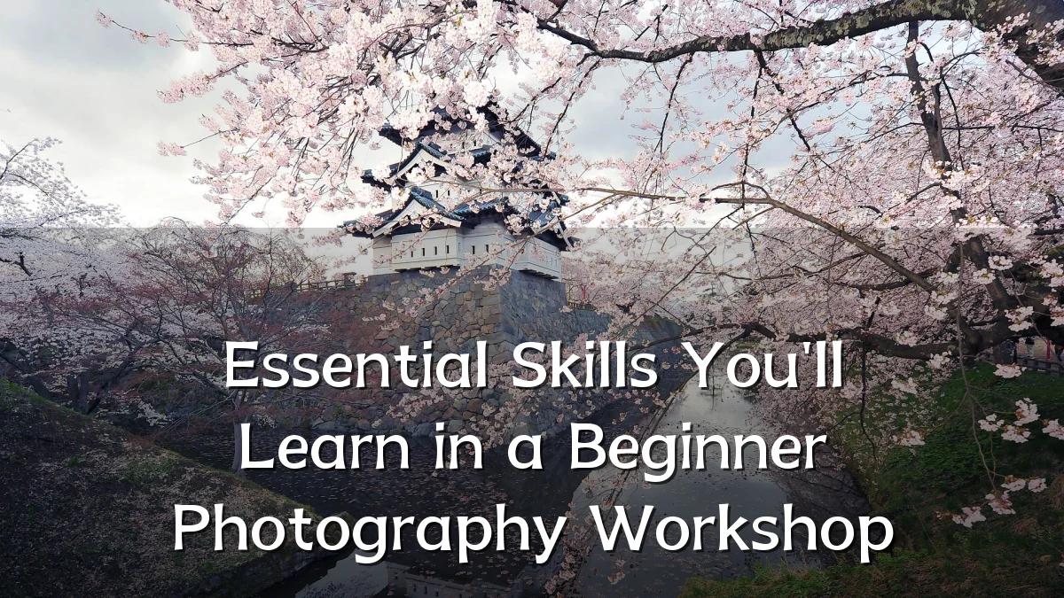 Essential Skills You'll Learn in a Beginner Photography Workshop