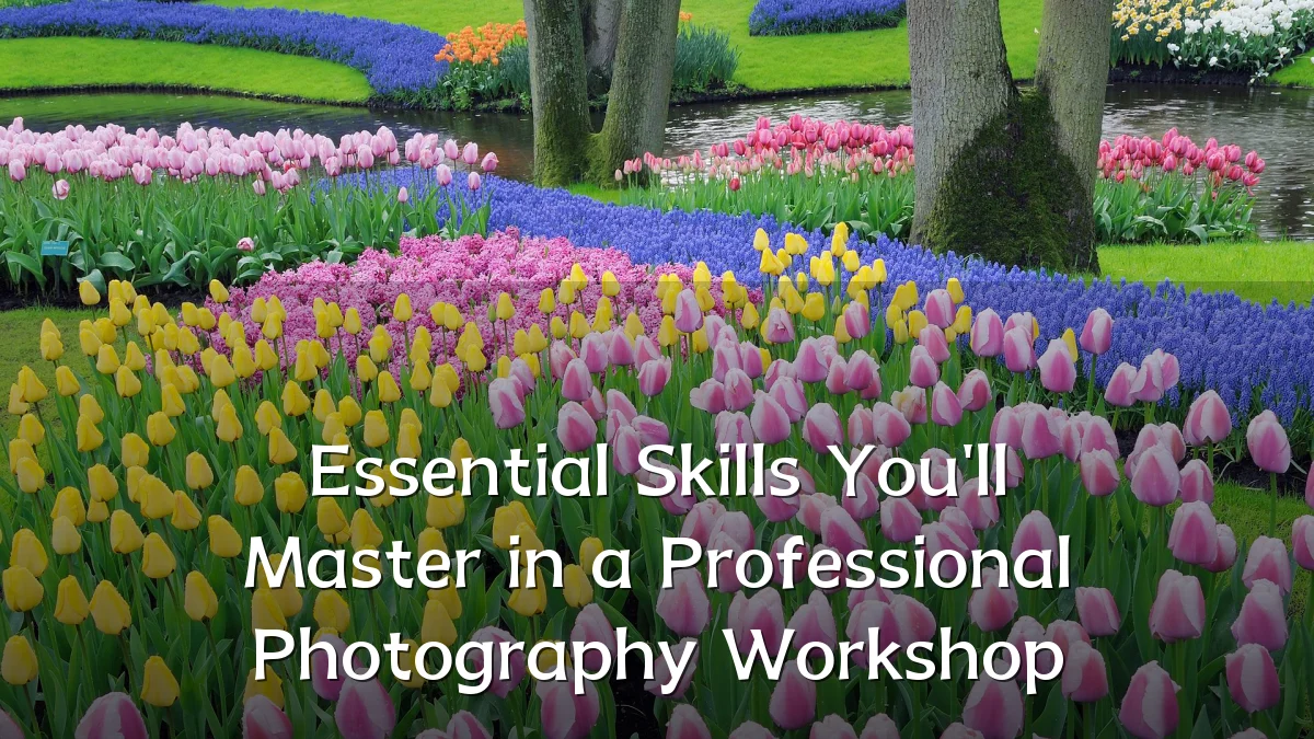 Essential Skills You'll Master in a Professional Photography Workshop