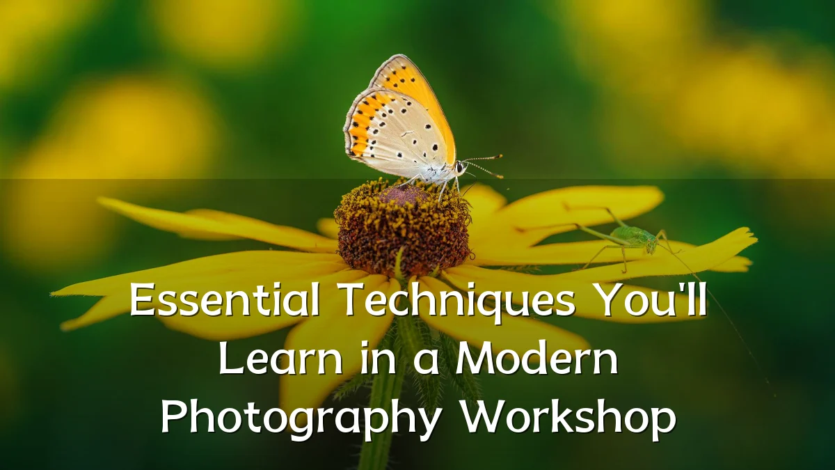 Essential Techniques You'll Learn in a Modern Photography Workshop