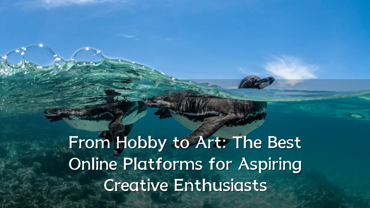 From Hobby to Art: The Best Online Platforms for Aspiring Creative Enthusiasts