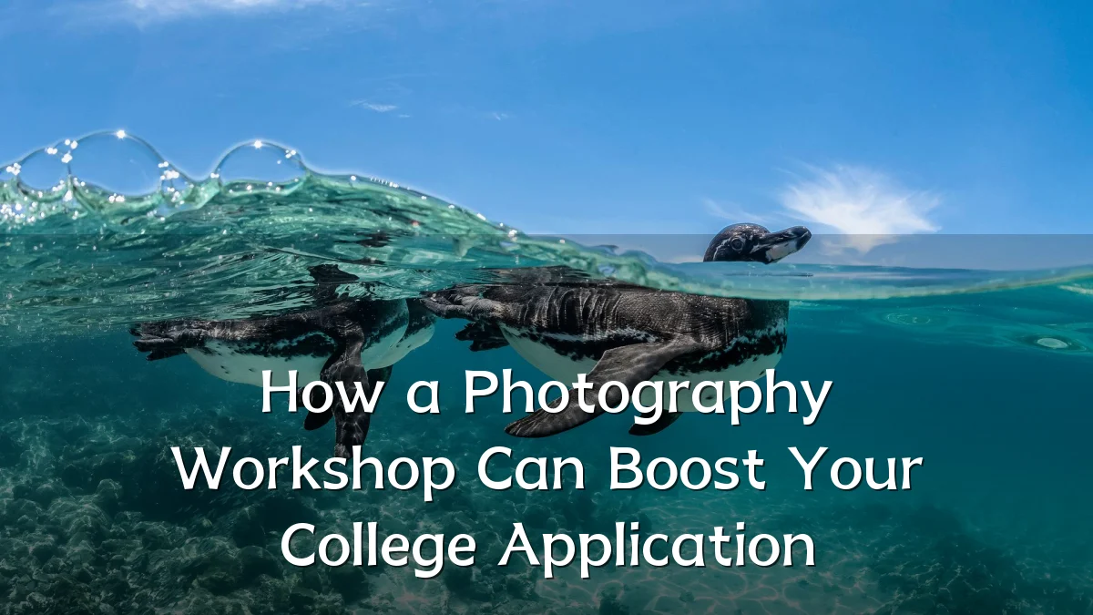 How a Photography Workshop Can Boost Your College Application