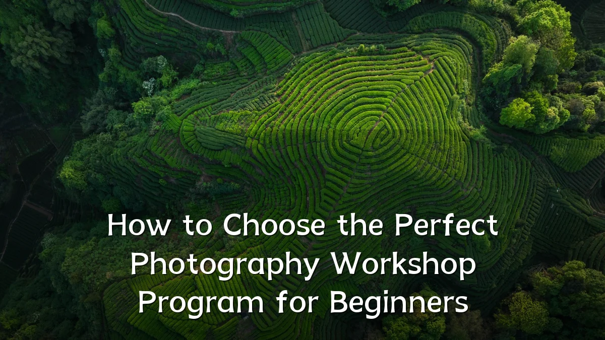How to Choose the Perfect Photography Workshop Program for Beginners
