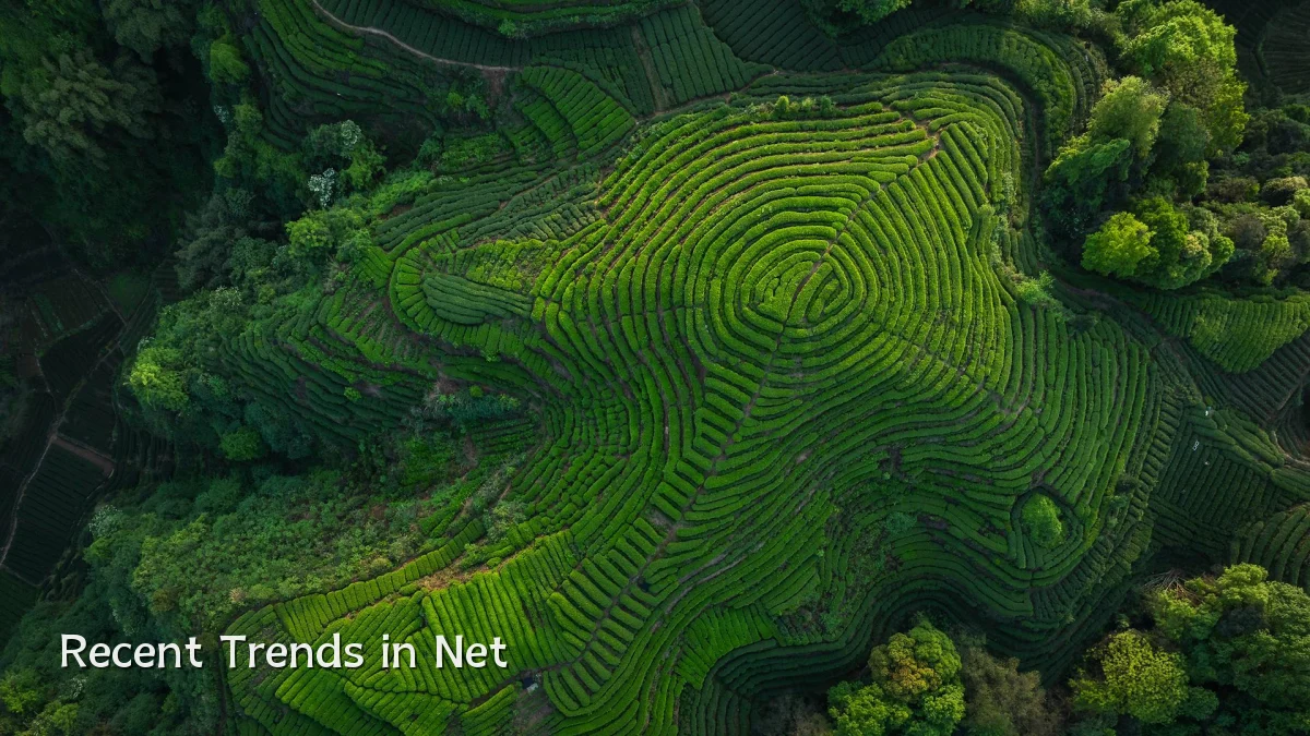 Recent Trends in Net