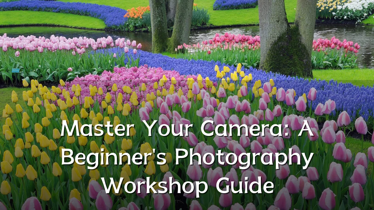 Master Your Camera: A Beginner's Photography Workshop Guide