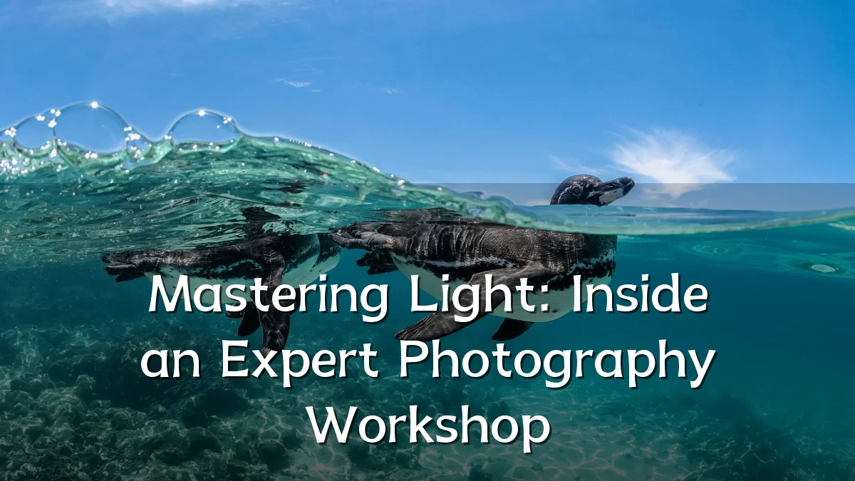 Mastering Light: Inside an Expert Photography Workshop