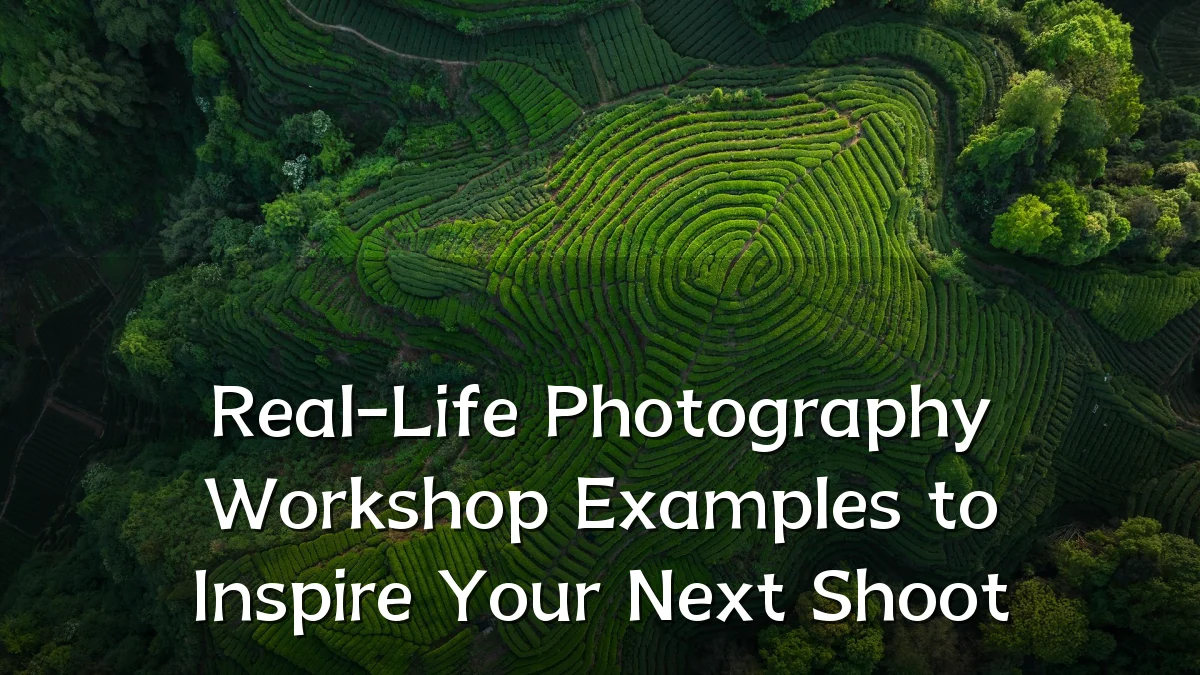 Real-Life Photography Workshop Examples to Inspire Your Next Shoot
