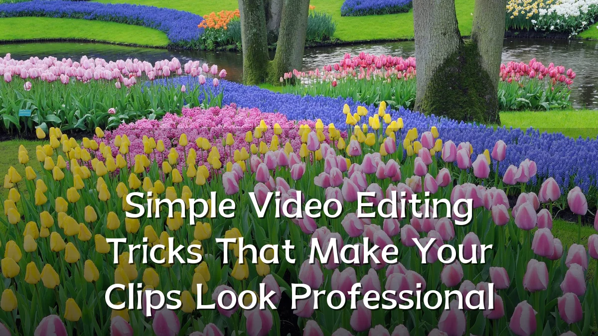 Simple Video Editing Tricks That Make Your Clips Look Professional