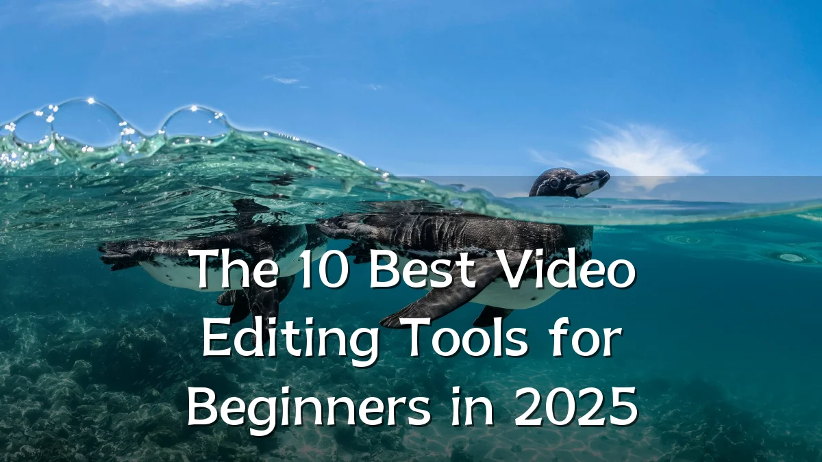 The 10 Best Video Editing Tools for Beginners in 2025