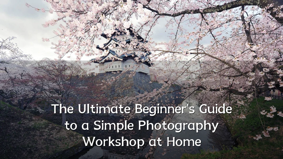 The Ultimate Beginner's Guide to a Simple Photography Workshop at Home