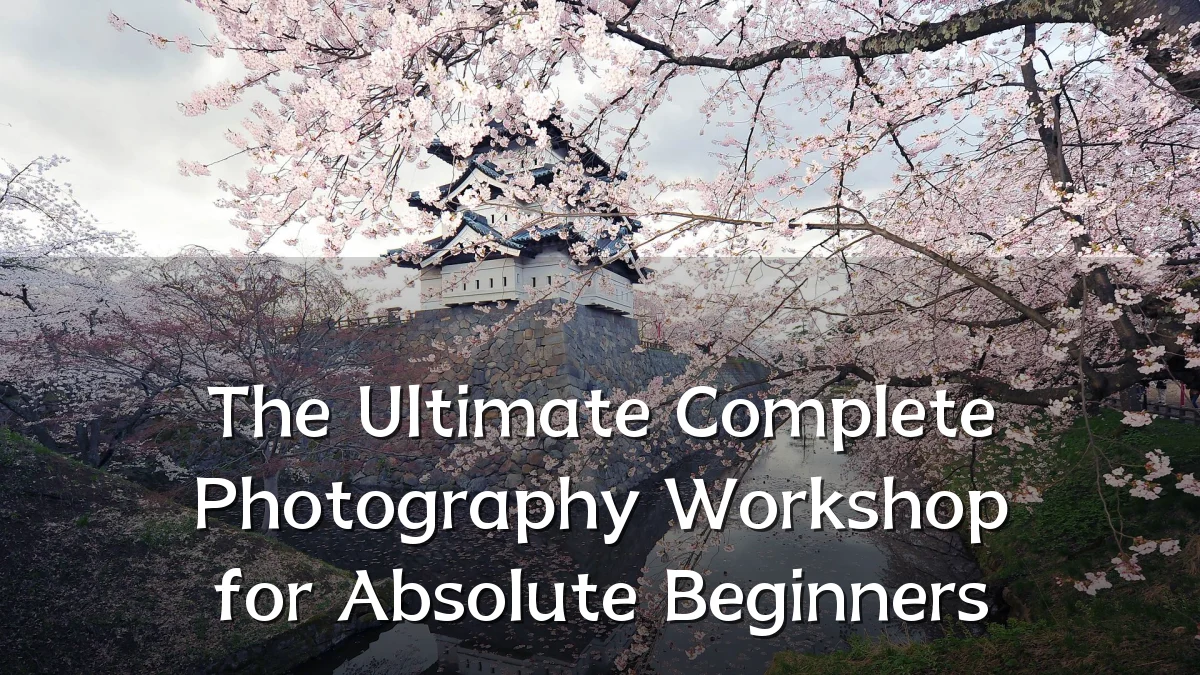 The Ultimate Complete Photography Workshop for Absolute Beginners