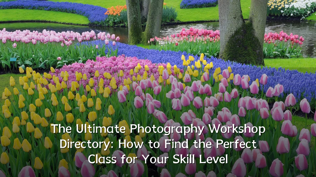 The Ultimate Photography Workshop Directory: How to Find the Perfect Class for Your Skill Level