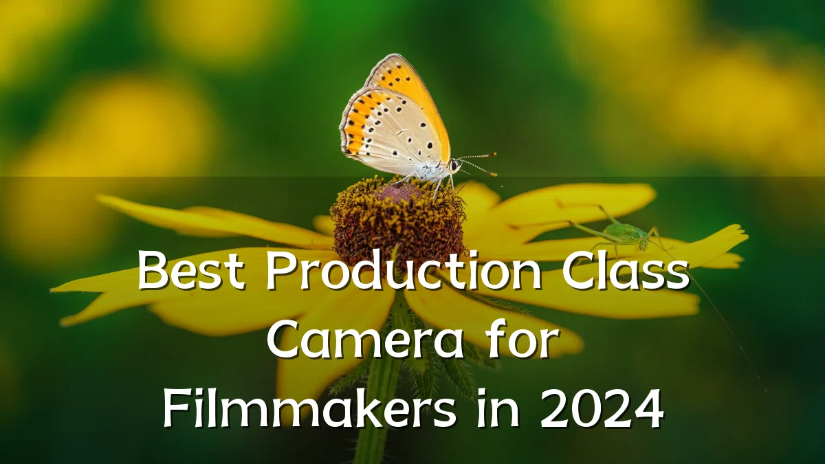 Best Production Class Camera for Filmmakers in 2024