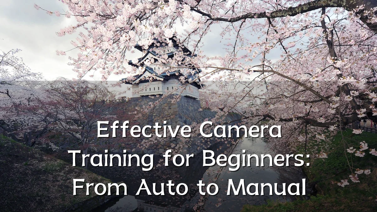 Effective Camera Training for Beginners: From Auto to Manual