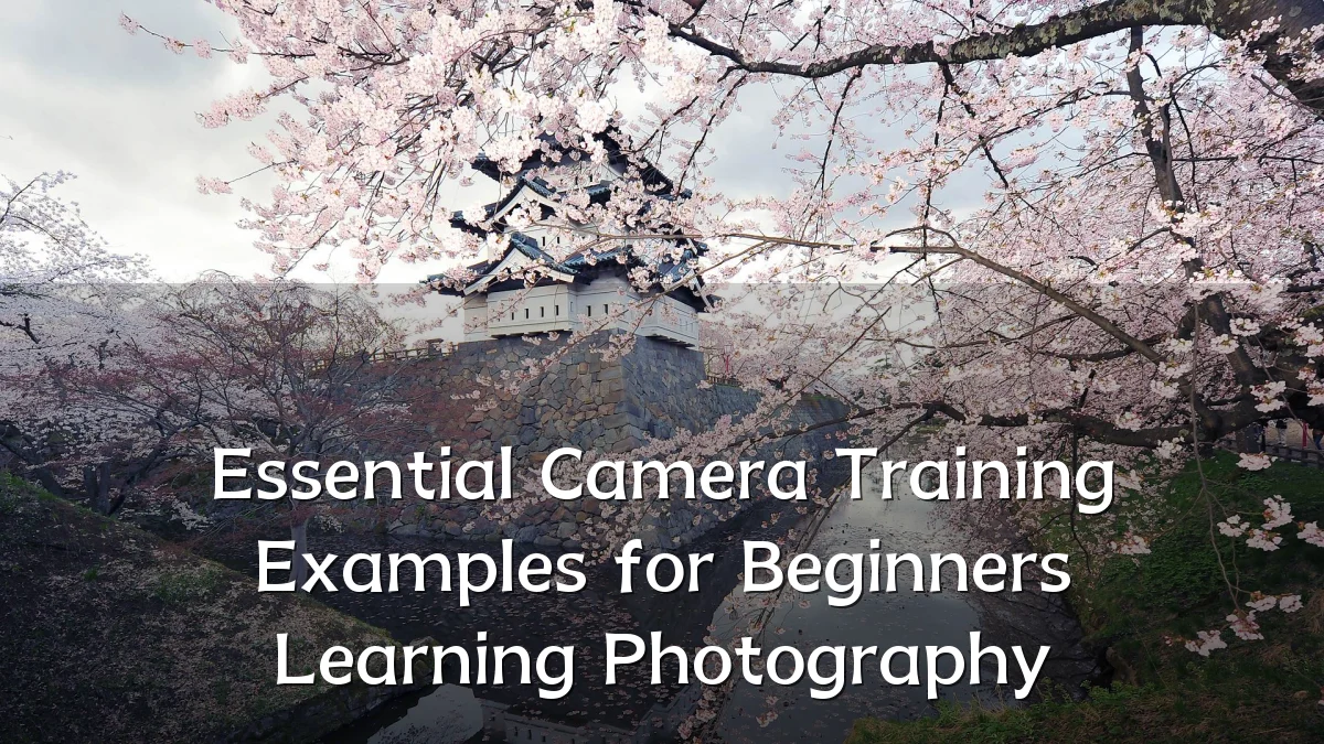 Essential Camera Training Examples for Beginners Learning Photography
