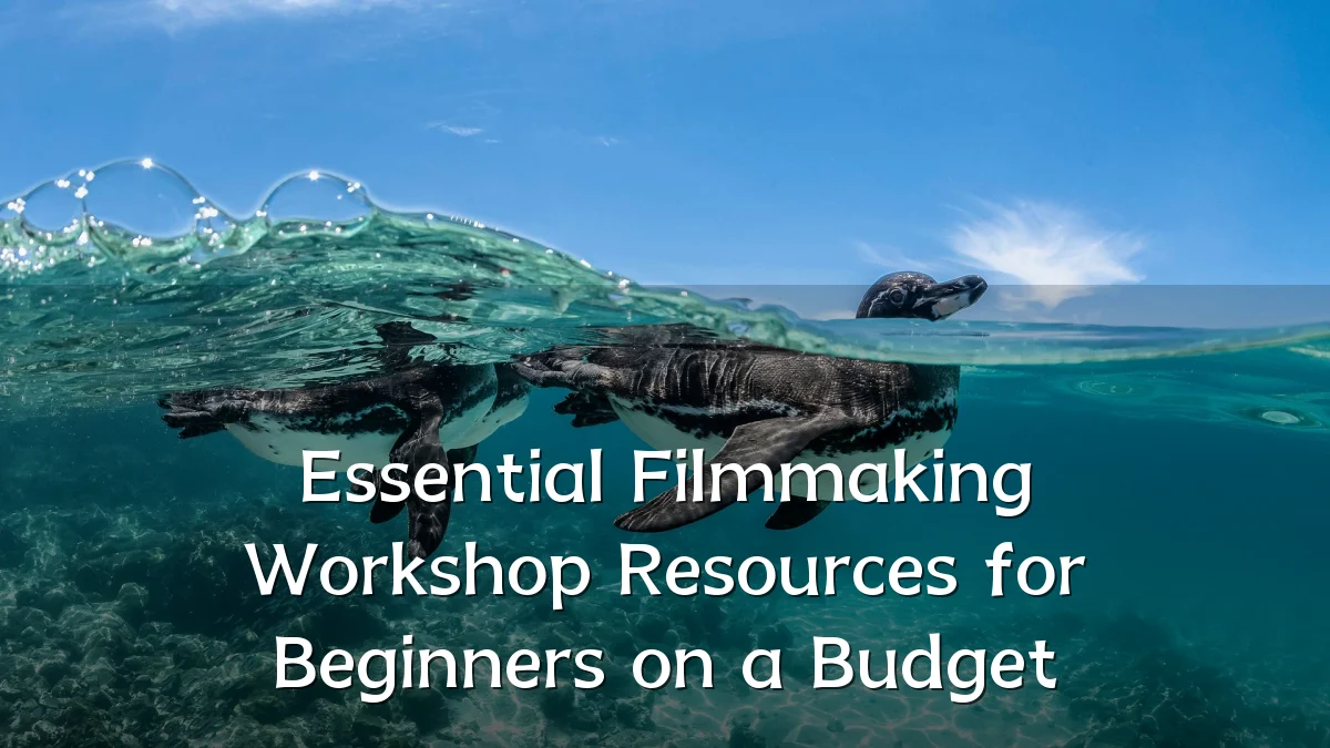 Essential Filmmaking Workshop Resources for Beginners on a Budget