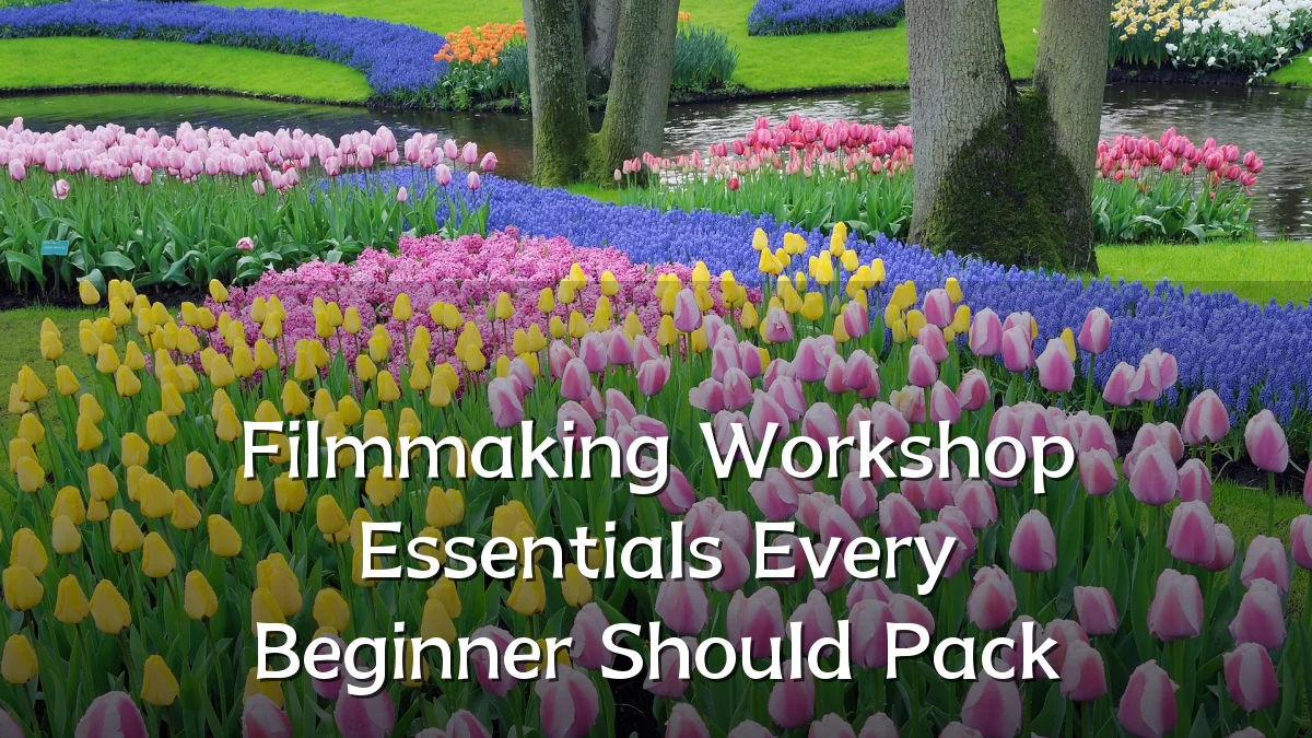 Filmmaking Workshop Essentials Every Beginner Should Pack