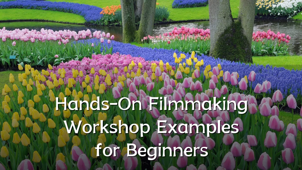 Hands-On Filmmaking Workshop Examples for Beginners