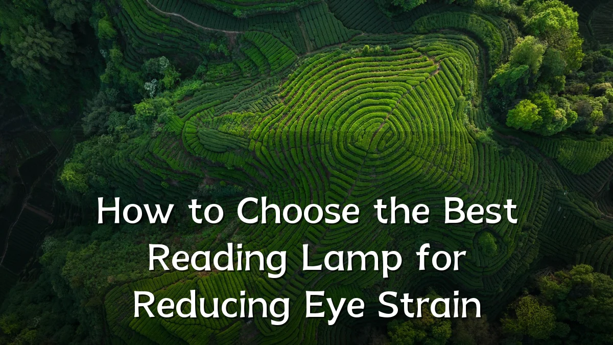 How to Choose the Best Reading Lamp for Reducing Eye Strain