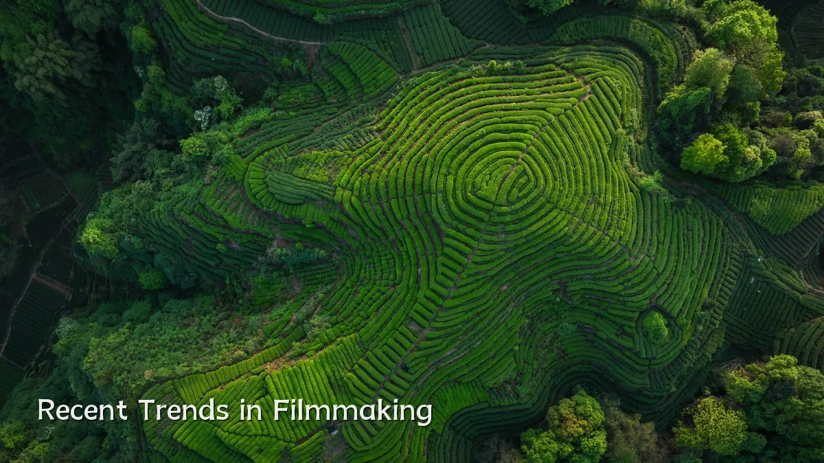 Recent Trends in Filmmaking