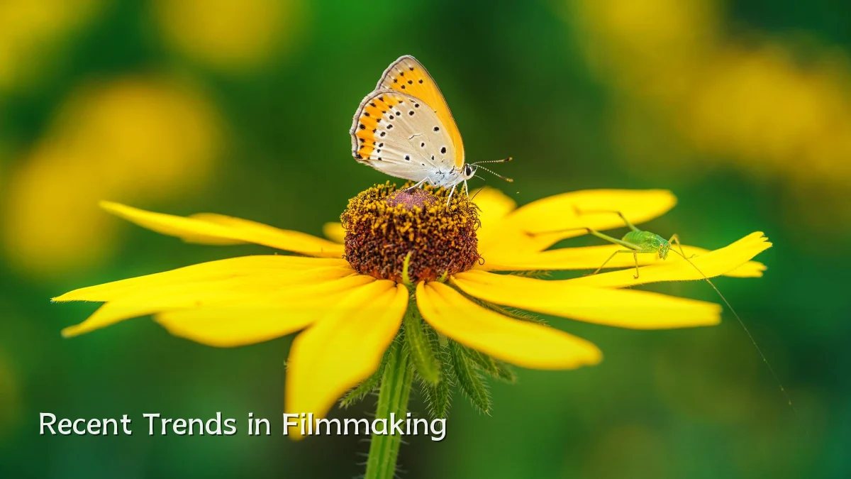 Recent Trends in Filmmaking
