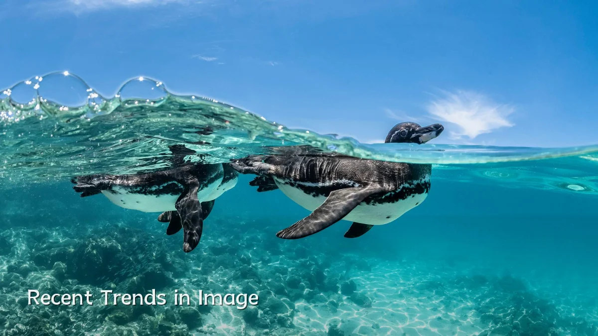 Recent Trends in Image