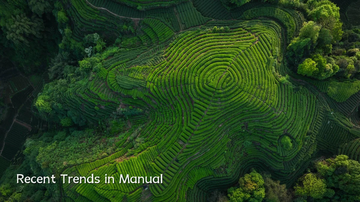 Recent Trends in Manual