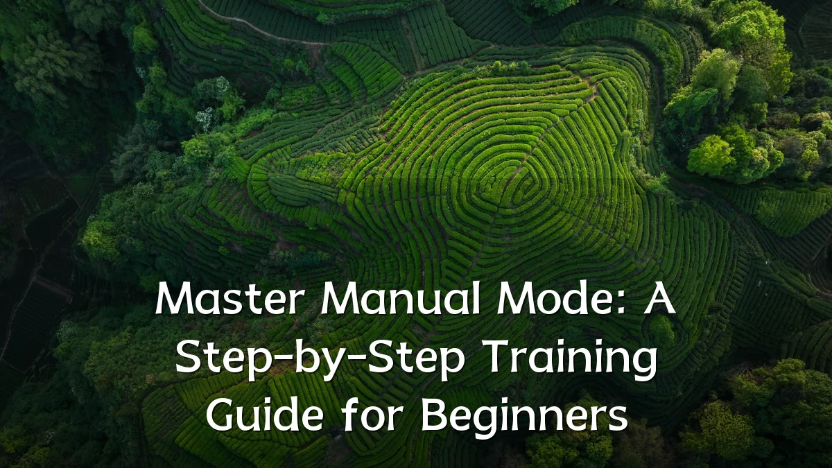 Master Manual Mode: A Step-by-Step Training Guide for Beginners