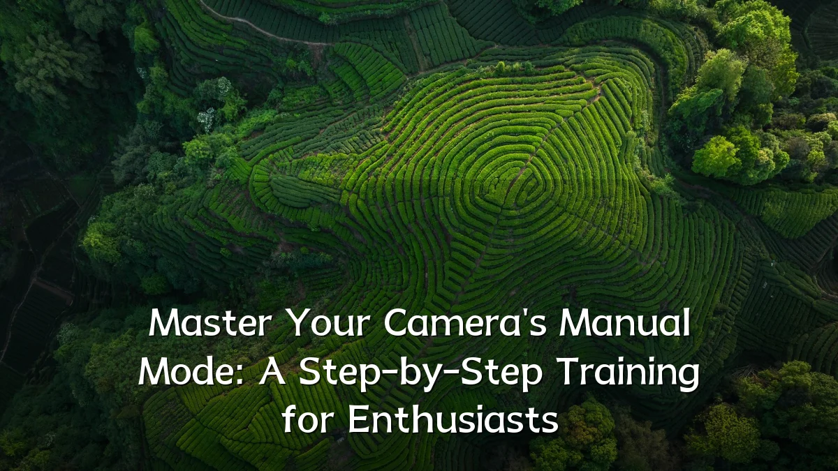 Master Your Camera's Manual Mode: A Step-by-Step Training for Enthusiasts