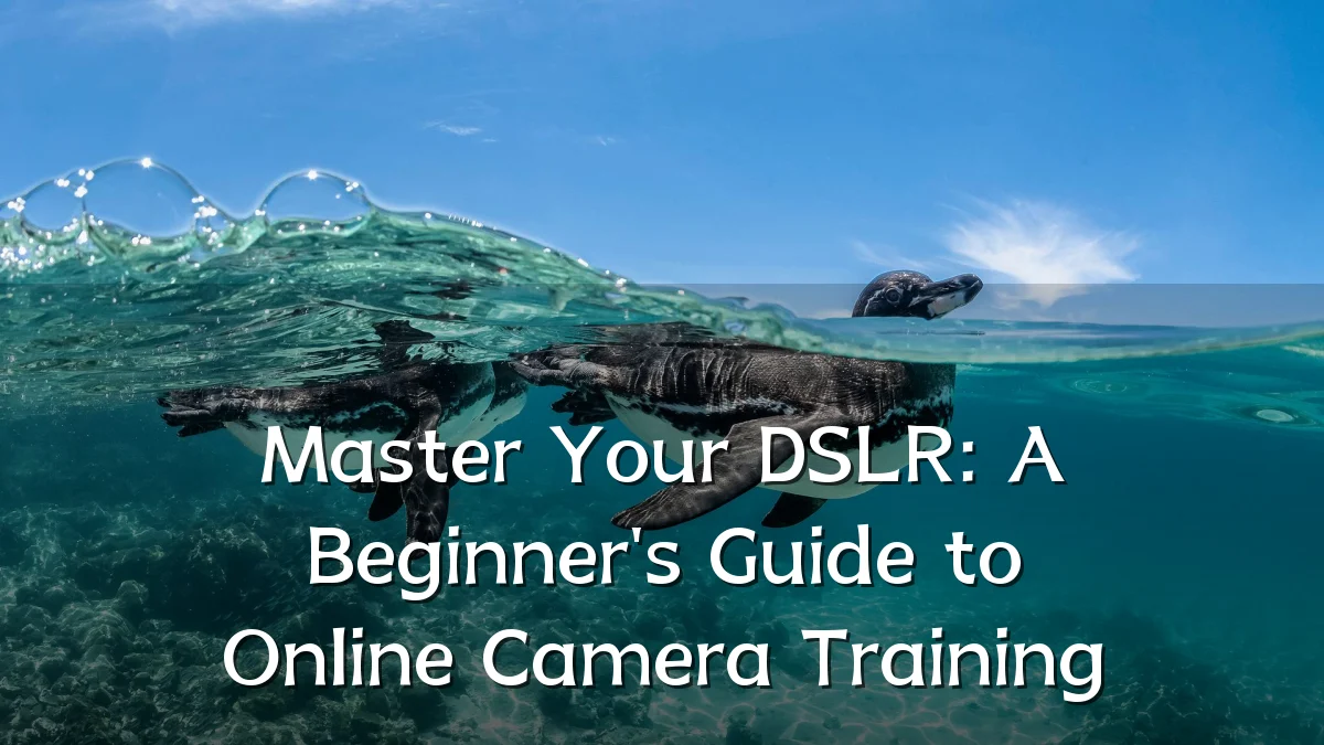 Master Your DSLR: A Beginner's Guide to Online Camera Training
