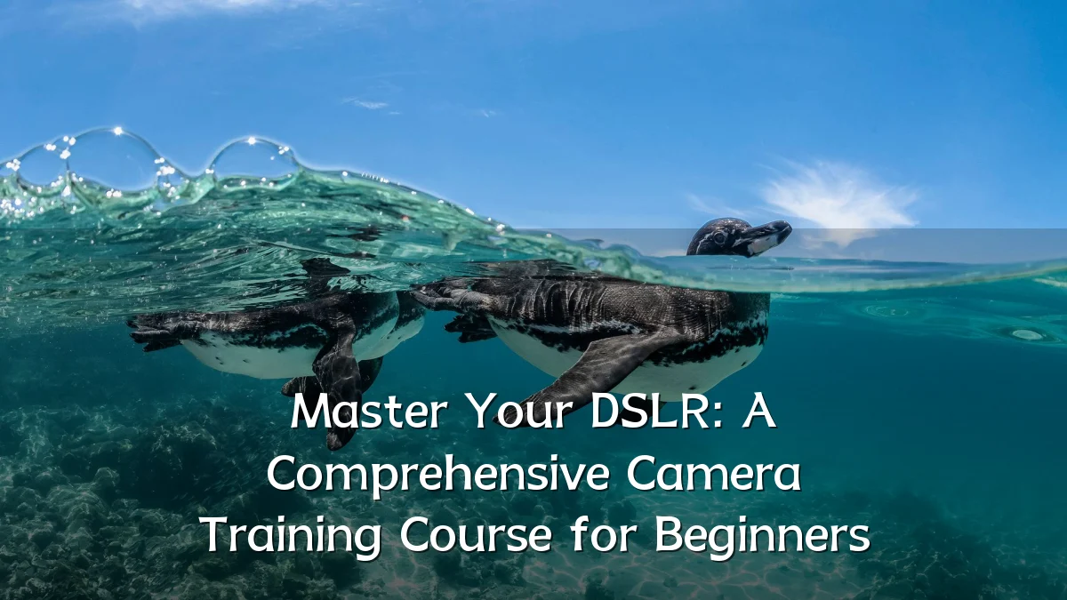 Master Your DSLR: A Comprehensive Camera Training Course for Beginners