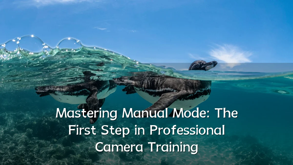 Mastering Manual Mode: The First Step in Professional Camera Training