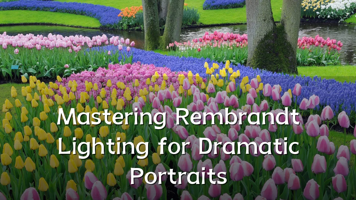 Mastering Rembrandt Lighting for Dramatic Portraits