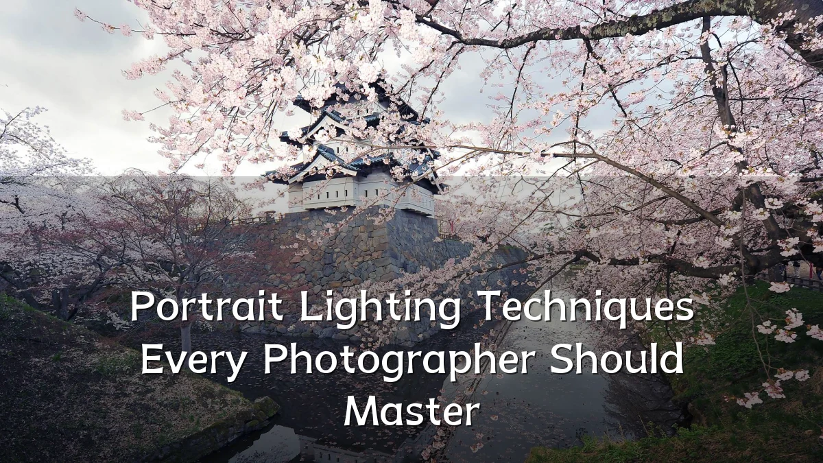 Portrait Lighting Techniques Every Photographer Should Master