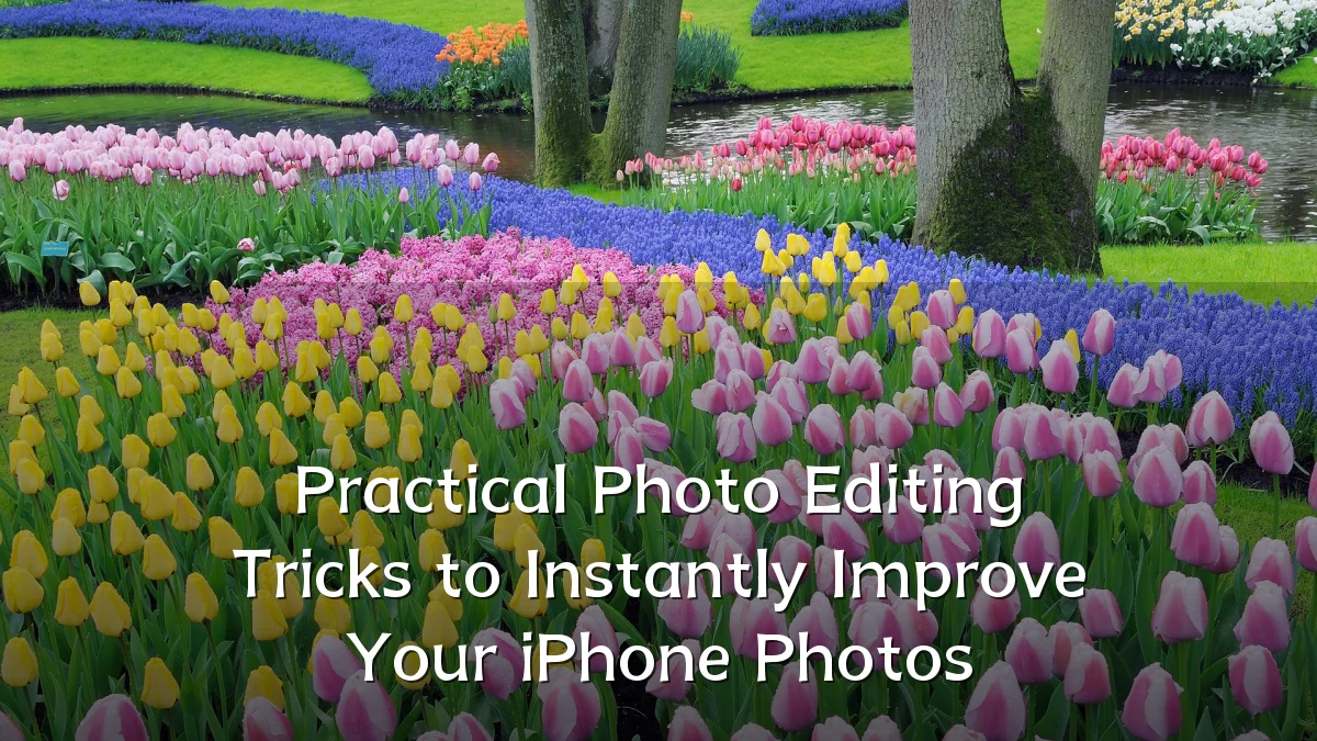 Practical Photo Editing Tricks to Instantly Improve Your iPhone Photos