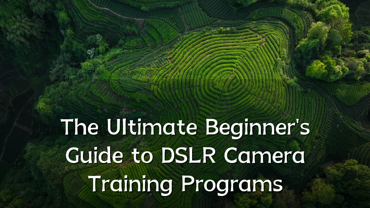 The Ultimate Beginner's Guide to DSLR Camera Training Programs