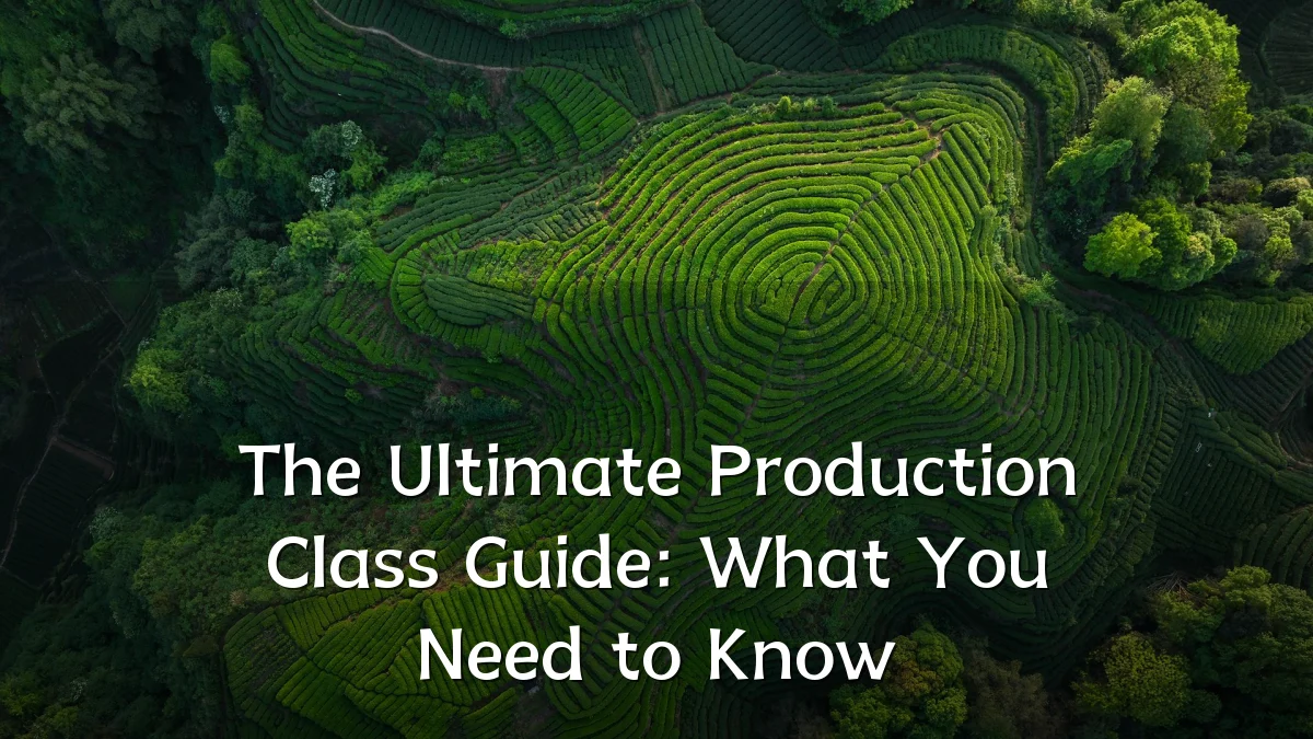 The Ultimate Production Class Guide: What You Need to Know