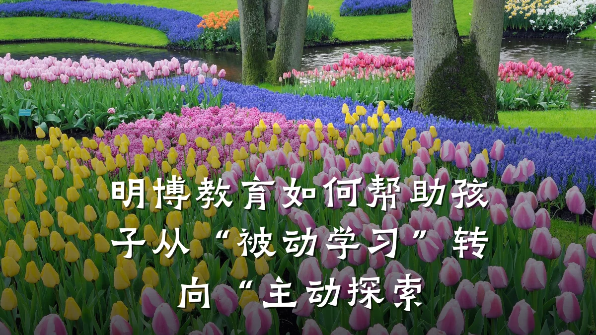 明博教育如何帮助孩子从“被动学习”转向“主动探索
